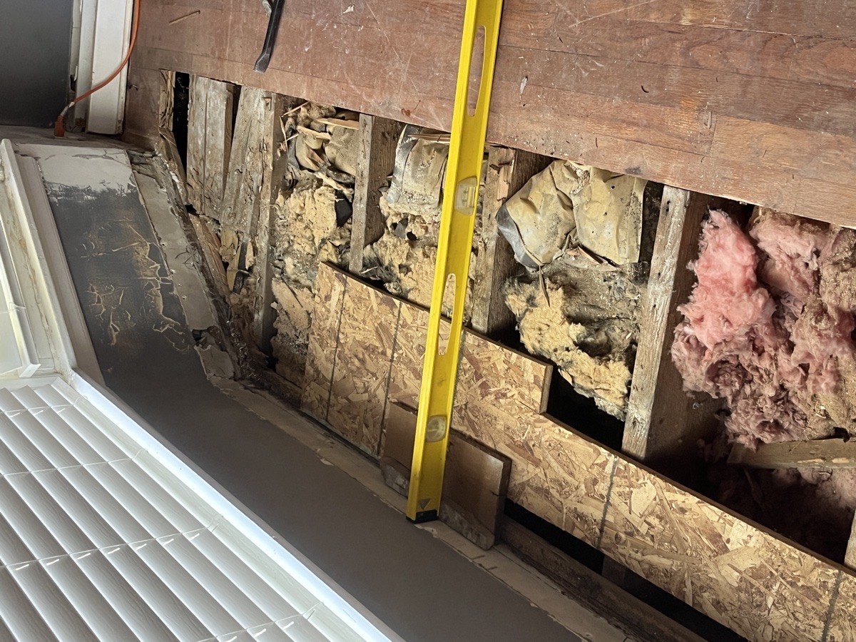 yard maintenance and home renovations — Carl Schaub