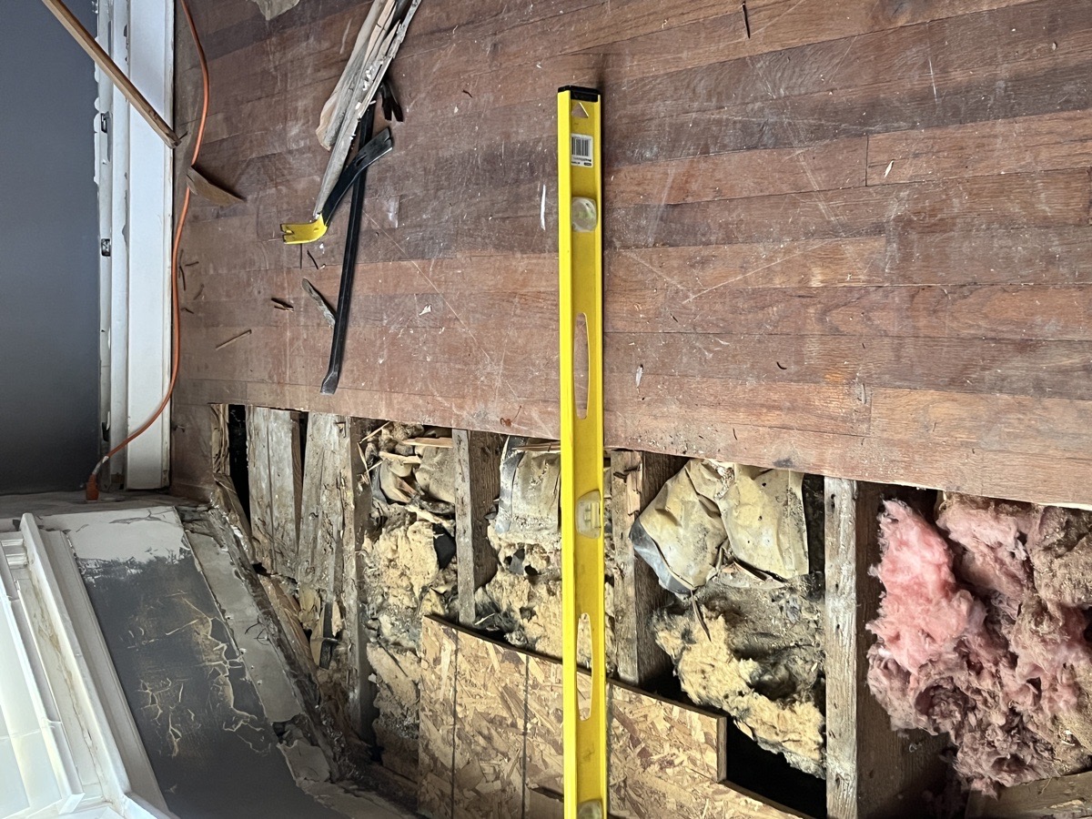 yard maintenance and home renovations — Carl Schaub