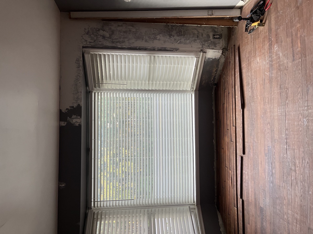 yard maintenance and home renovations — Carl Schaub