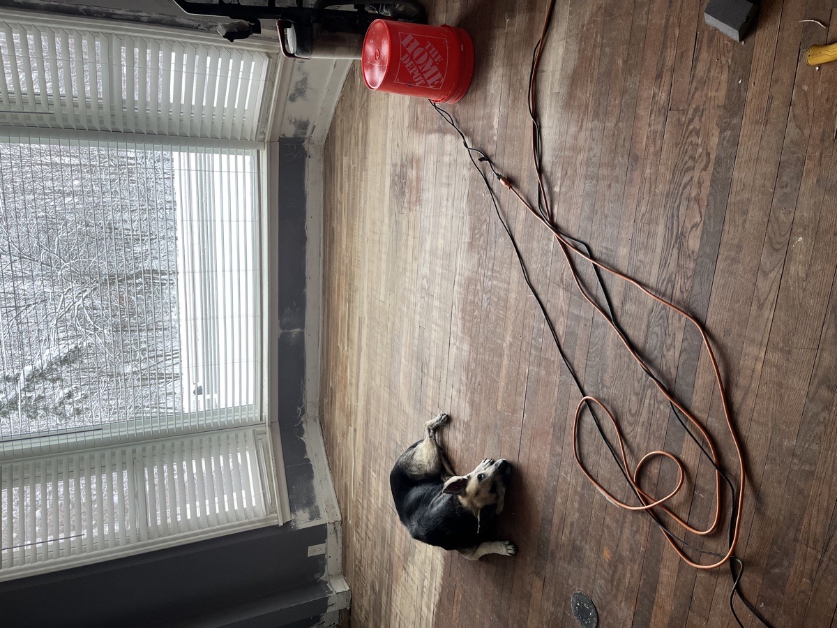 yard maintenance and home renovations — Carl Schaub