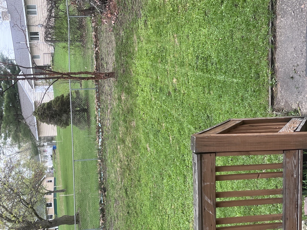 yard maintenance and home renovations — Carl Schaub