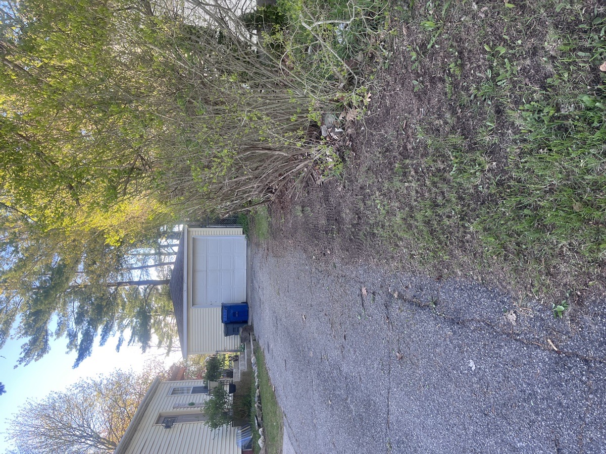 yard maintenance and home renovations — Carl Schaub