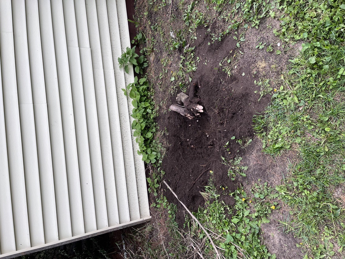 yard maintenance and home renovations — Carl Schaub
