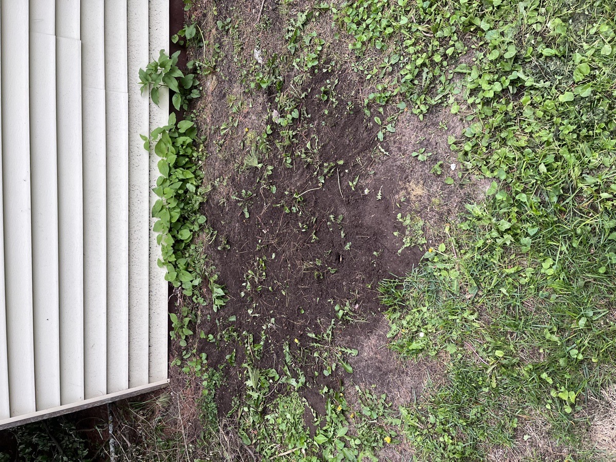 yard maintenance and home renovations — Carl Schaub
