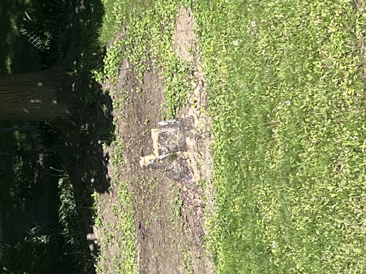 yard maintenance and home renovations — Carl Schaub