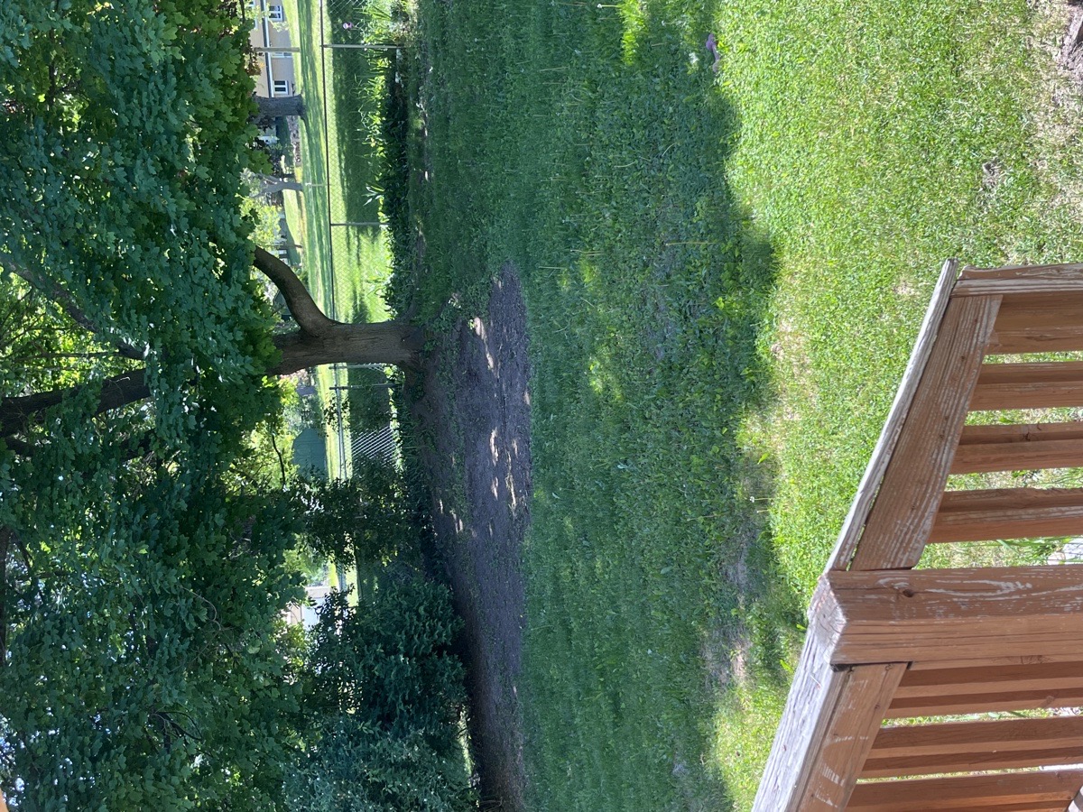 yard maintenance and home renovations — Carl Schaub