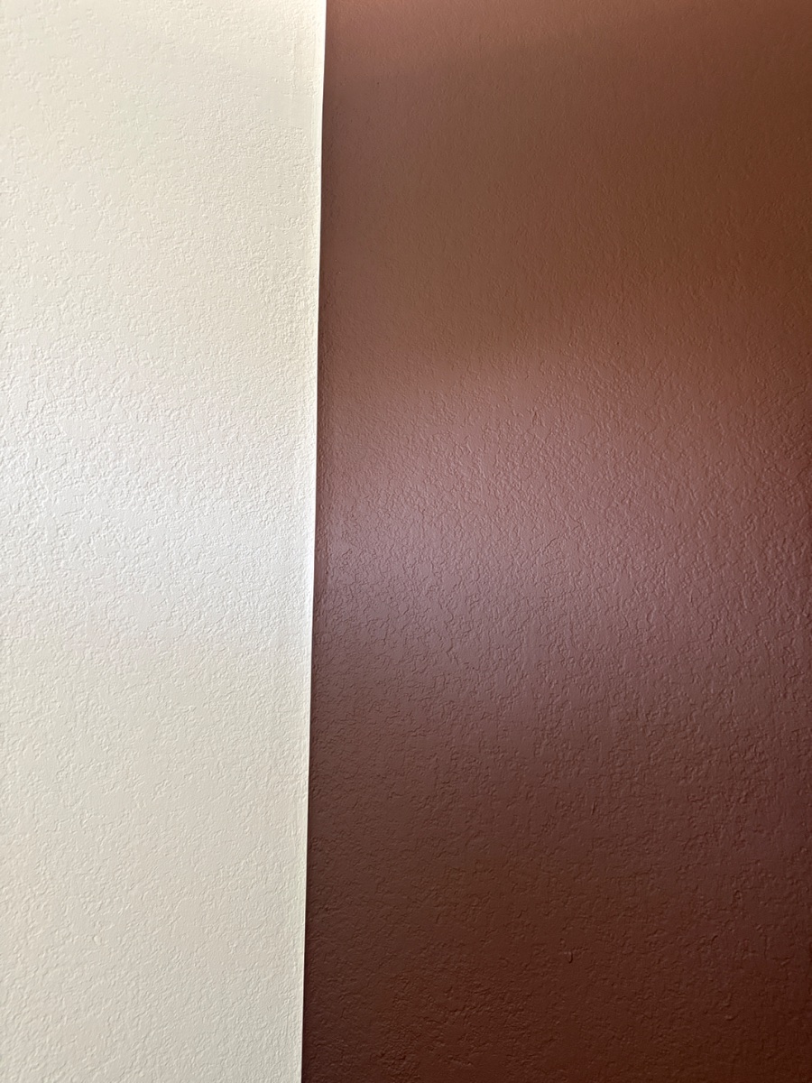 paint — Chris Fazio 