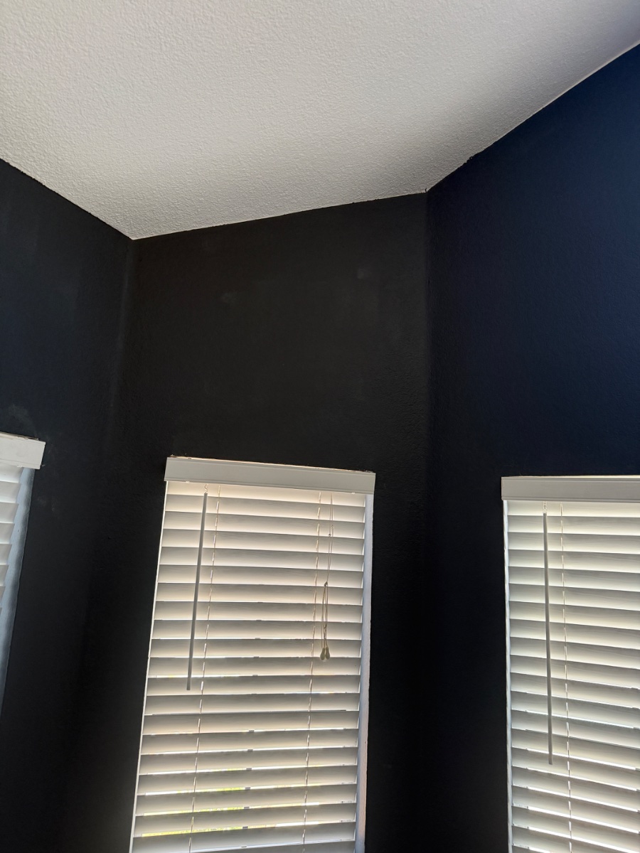 paint — Chris Fazio 