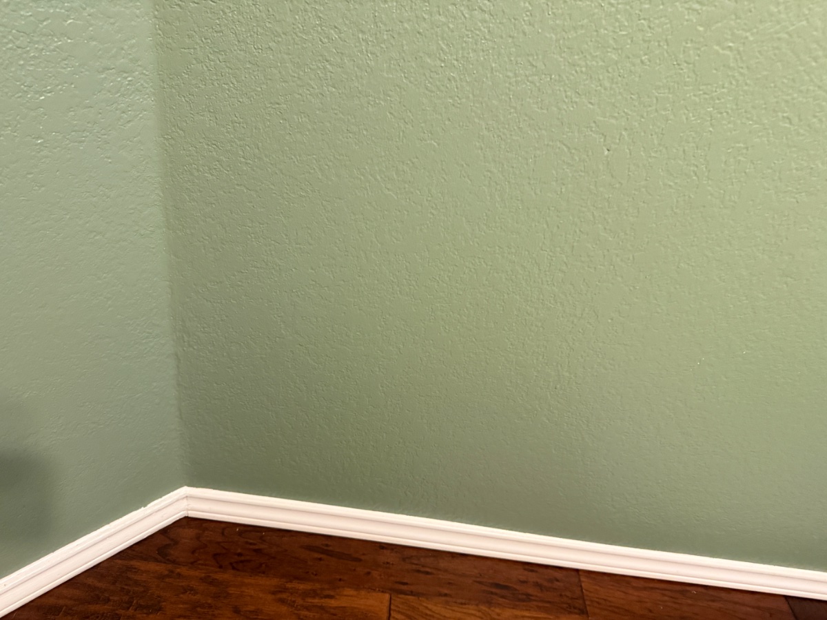 paint — Chris Fazio 