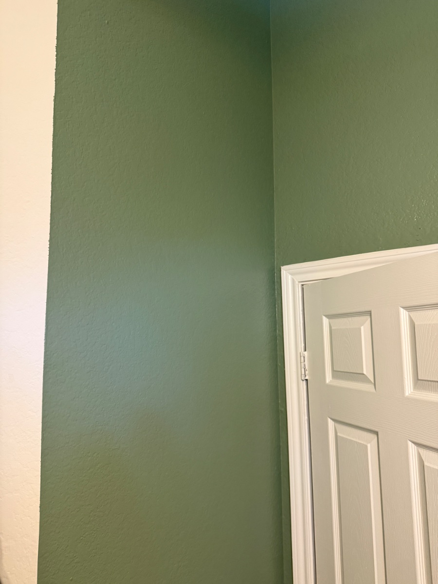 paint — Chris Fazio 