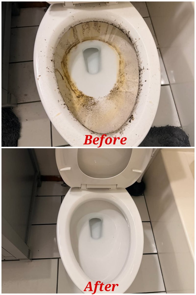 Toilet Deep Cleaning – Before & After — Dianna Ames