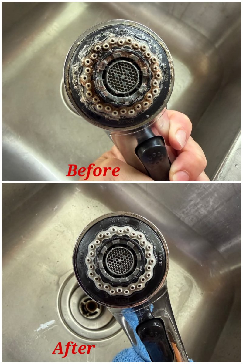Kitchen Sink Spray Hose Deep Cleaning – Before & After — Dianna Ames