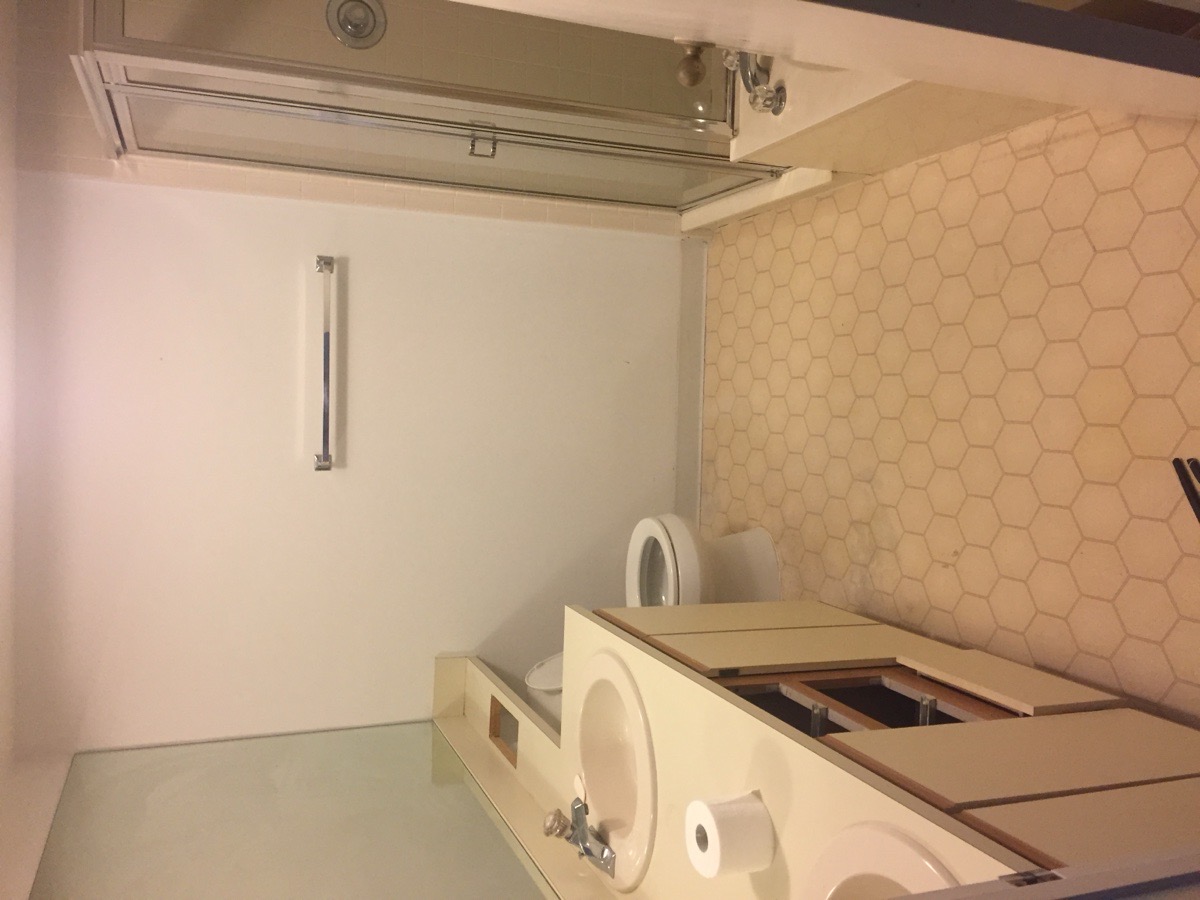 Bathroom Remodel — Justin