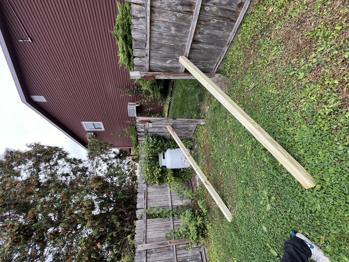 few fences and decks we did painting we literally do everything — Reginald Taylor