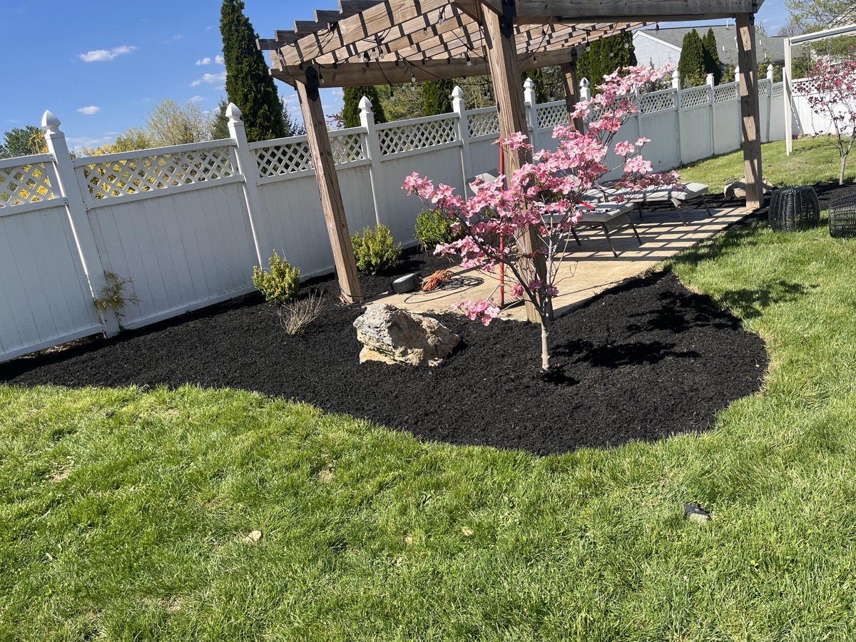 few fences and decks we did painting we literally do everything — Reginald Taylor