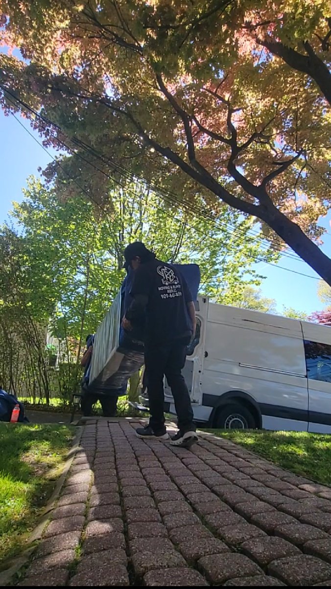 Professional Moving & Furniture Protection — Juan Alberto Santiago