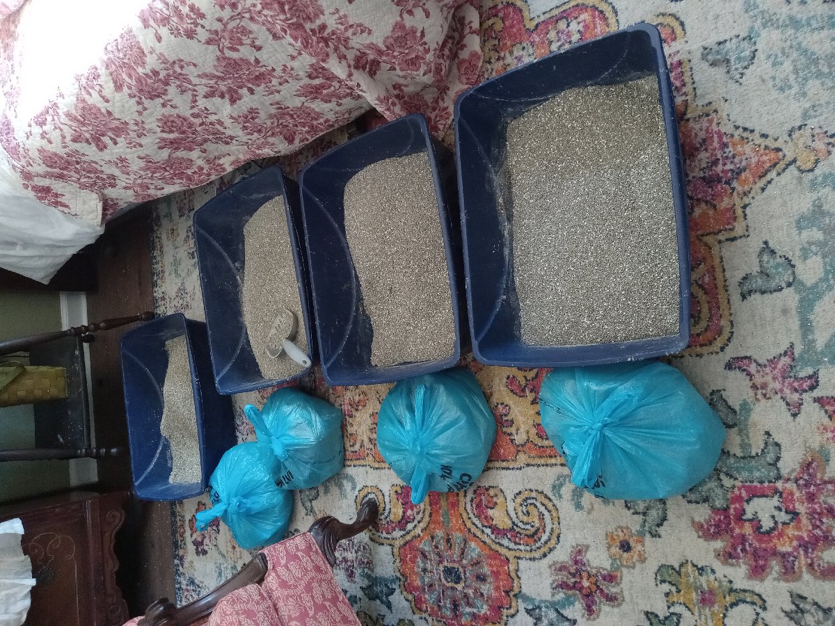 Cleaning Kitty Litter Boxes — Shelia Campbell