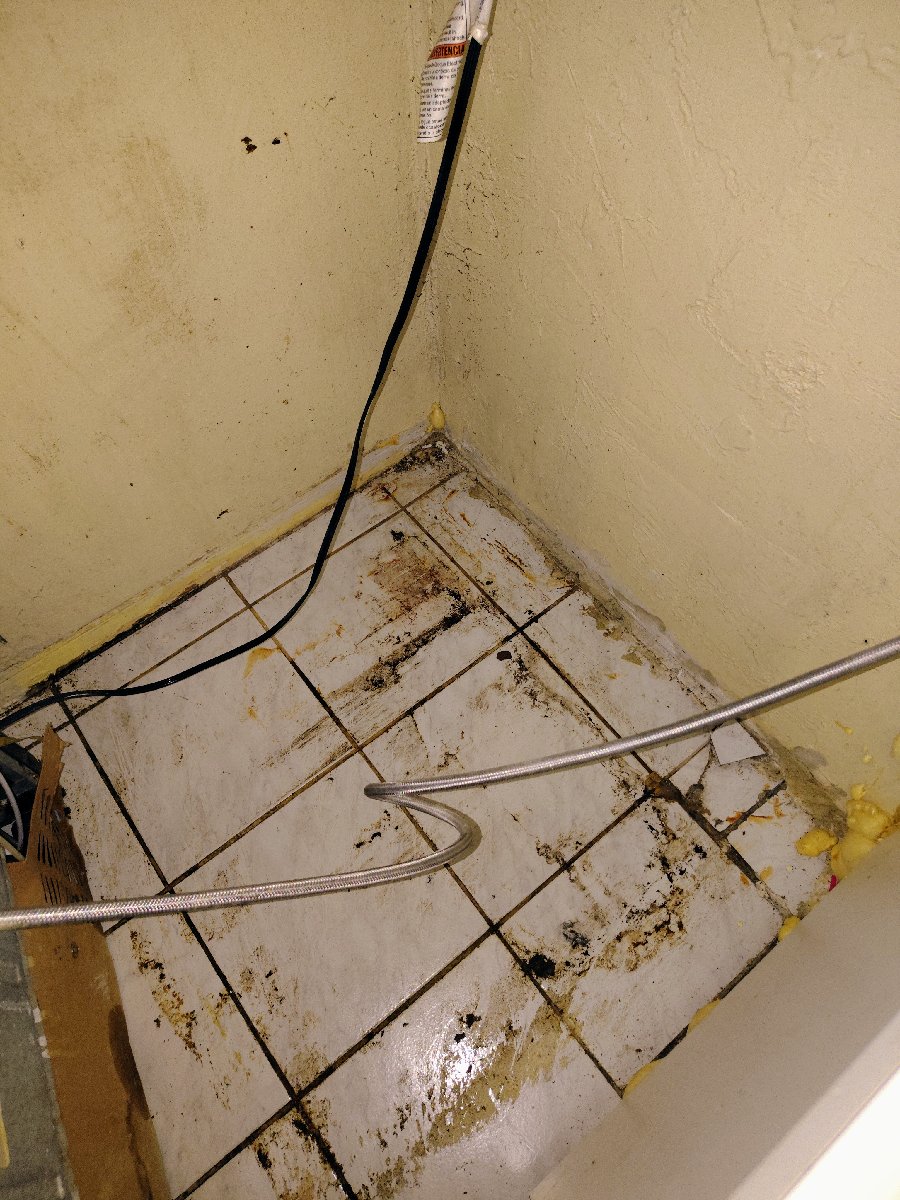 Standard Cleaning — Nyeshia