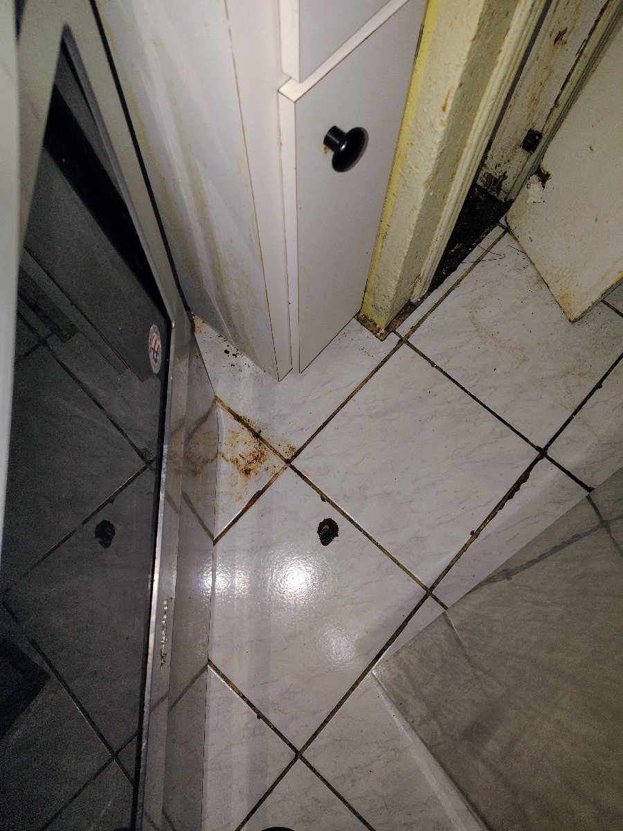Standard Cleaning — Nyeshia