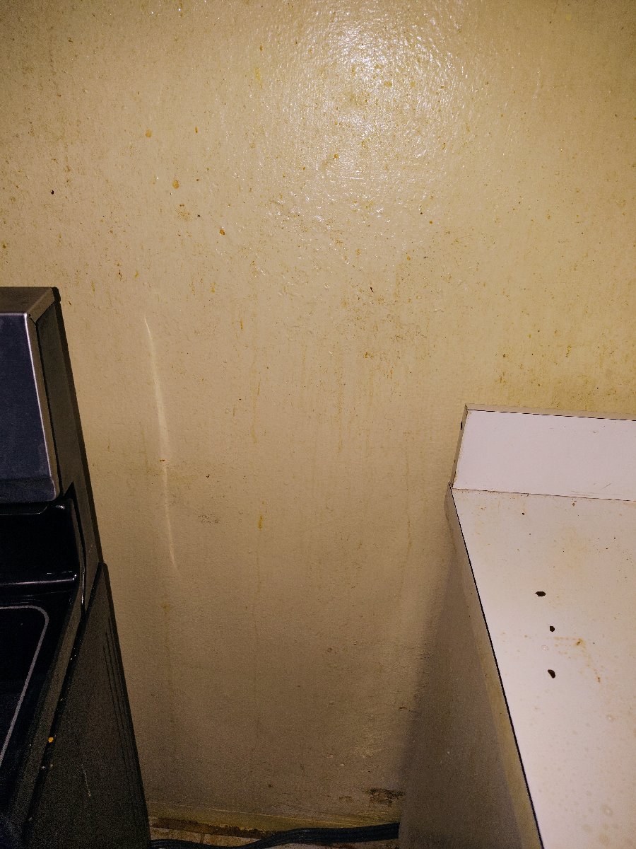 Standard Cleaning — Nyeshia
