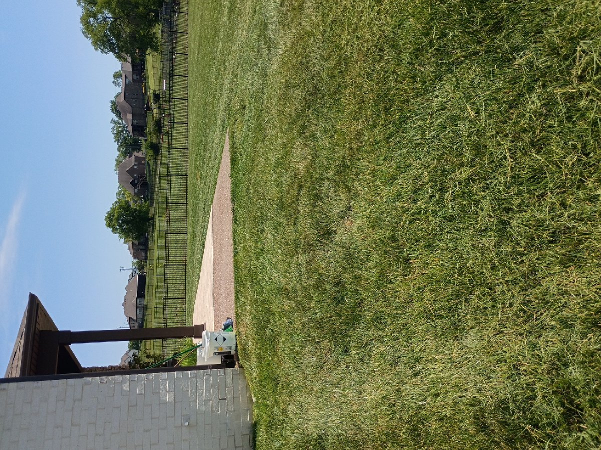 lawncare and plumbing — David Robinson