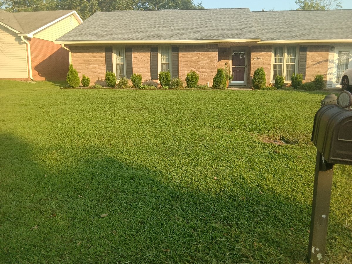 lawncare and plumbing — David Robinson