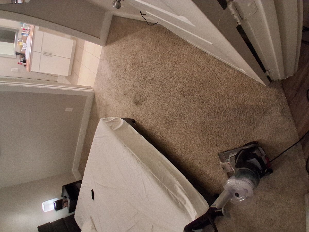 carpet cleaning — Jelissa Gonzales