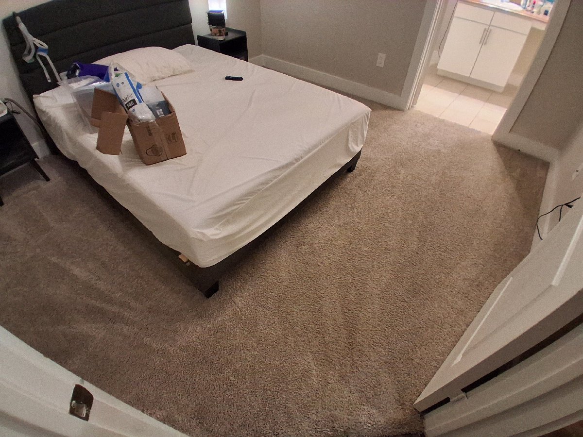 carpet cleaning — Jelissa Gonzales
