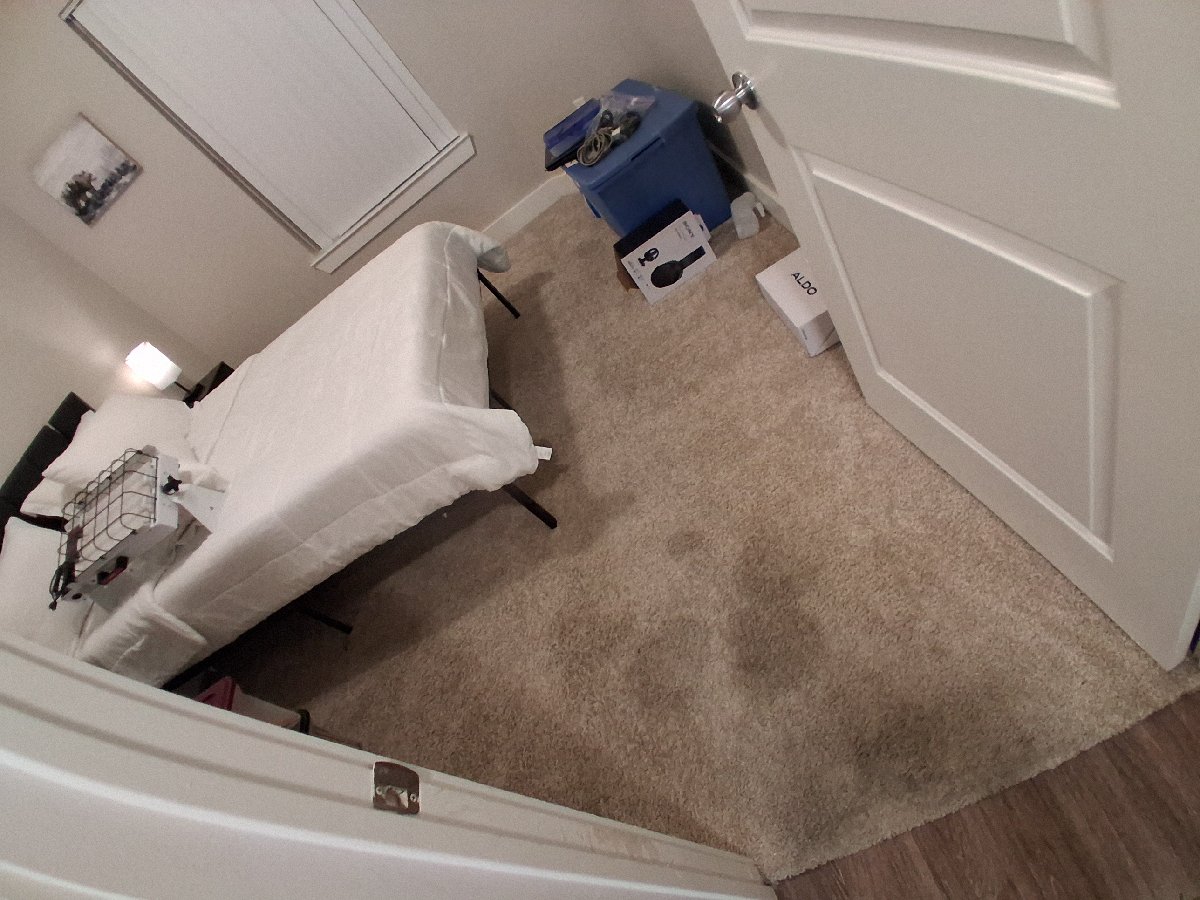 carpet cleaning — Jelissa Gonzales