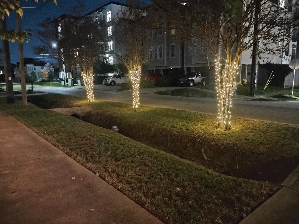 holiday lights installing — Jelissa Gonzales