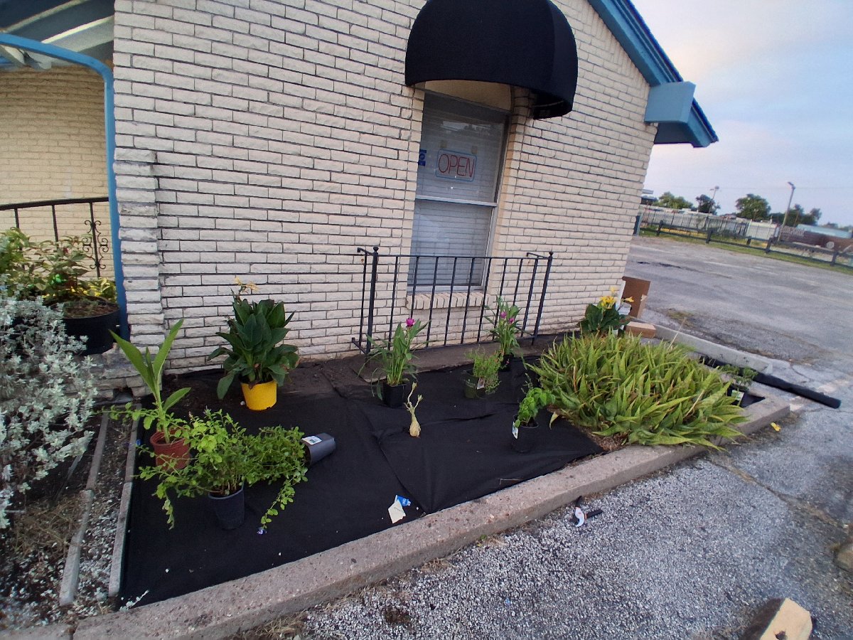 landscaping — Jelissa Gonzales