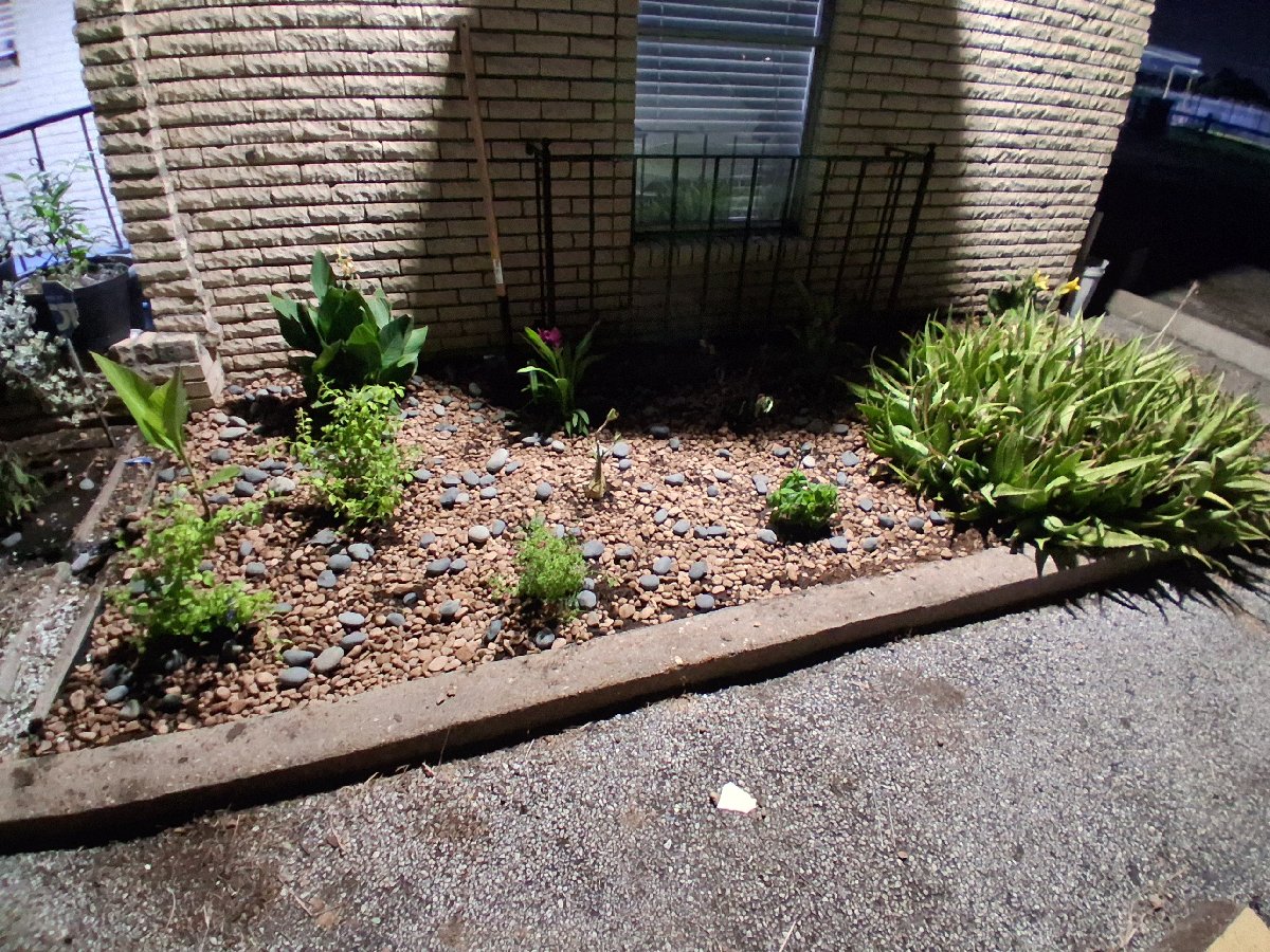 landscaping — Jelissa Gonzales