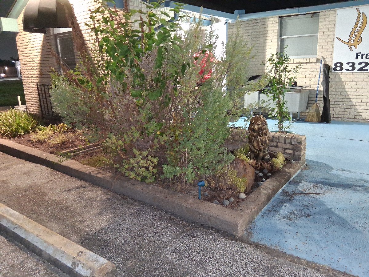 landscaping — Jelissa Gonzales
