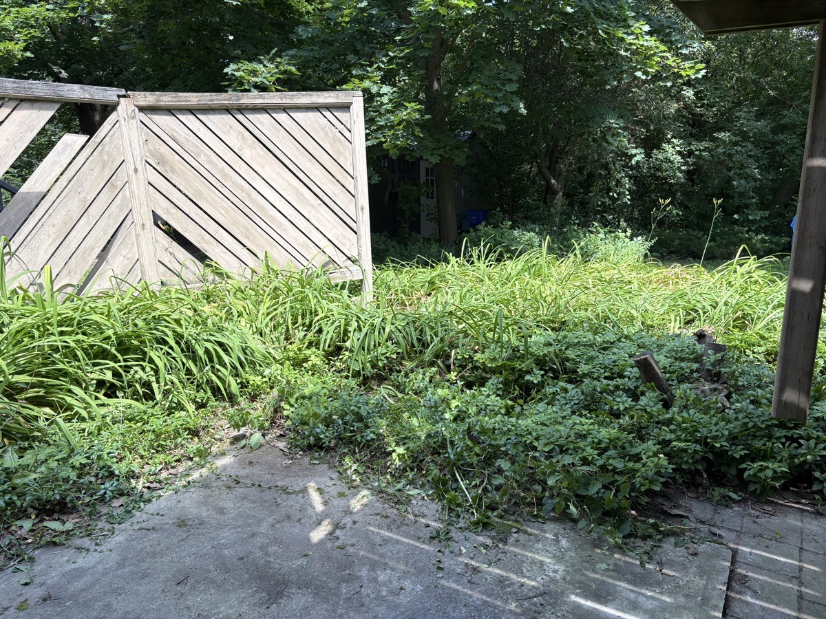 Move Out Deep Cleans — Ruth Shanklin