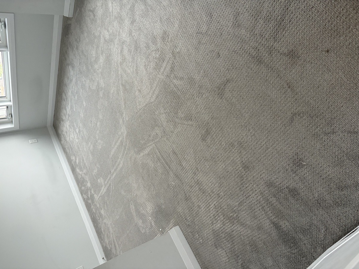 Move Out Deep Cleans — Ruth Shanklin