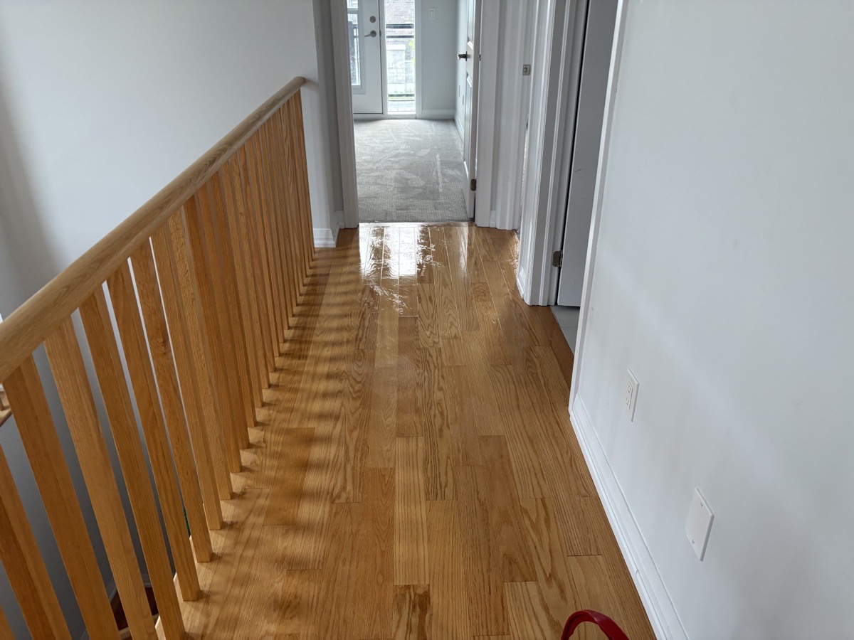 Move Out Deep Cleans — Ruth Shanklin