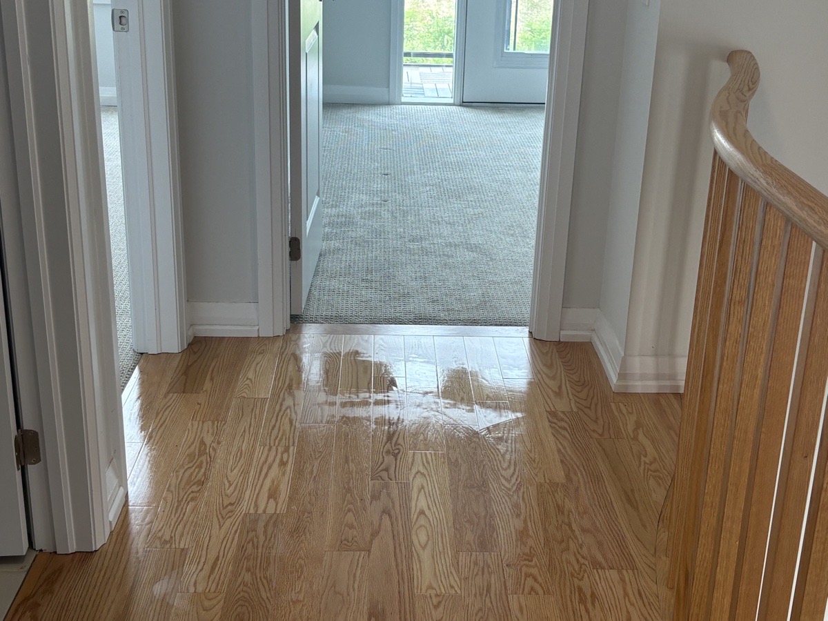 Move Out Deep Cleans — Ruth Shanklin