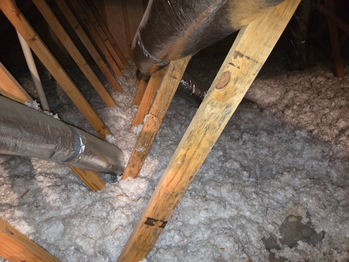 Attic Inspection — Barry