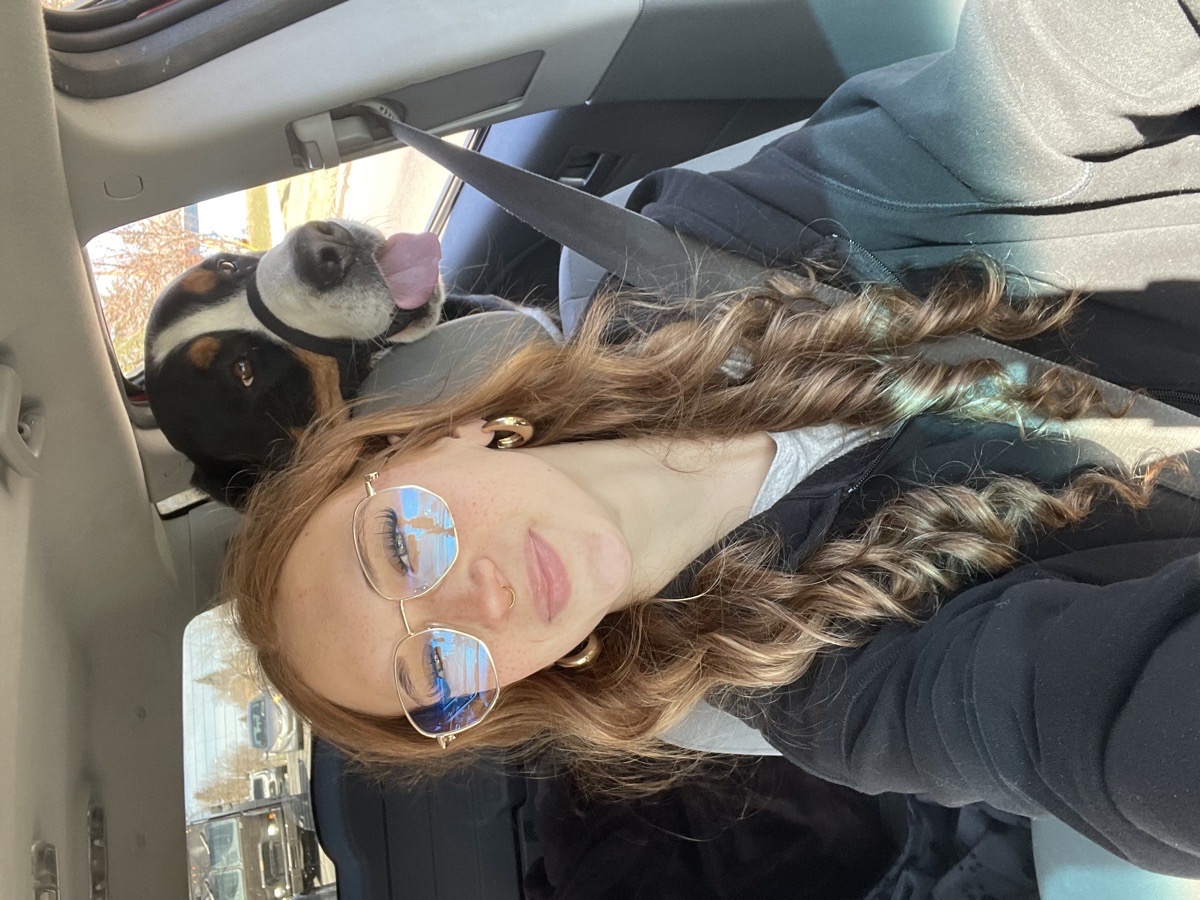doggy daycare — Jersey