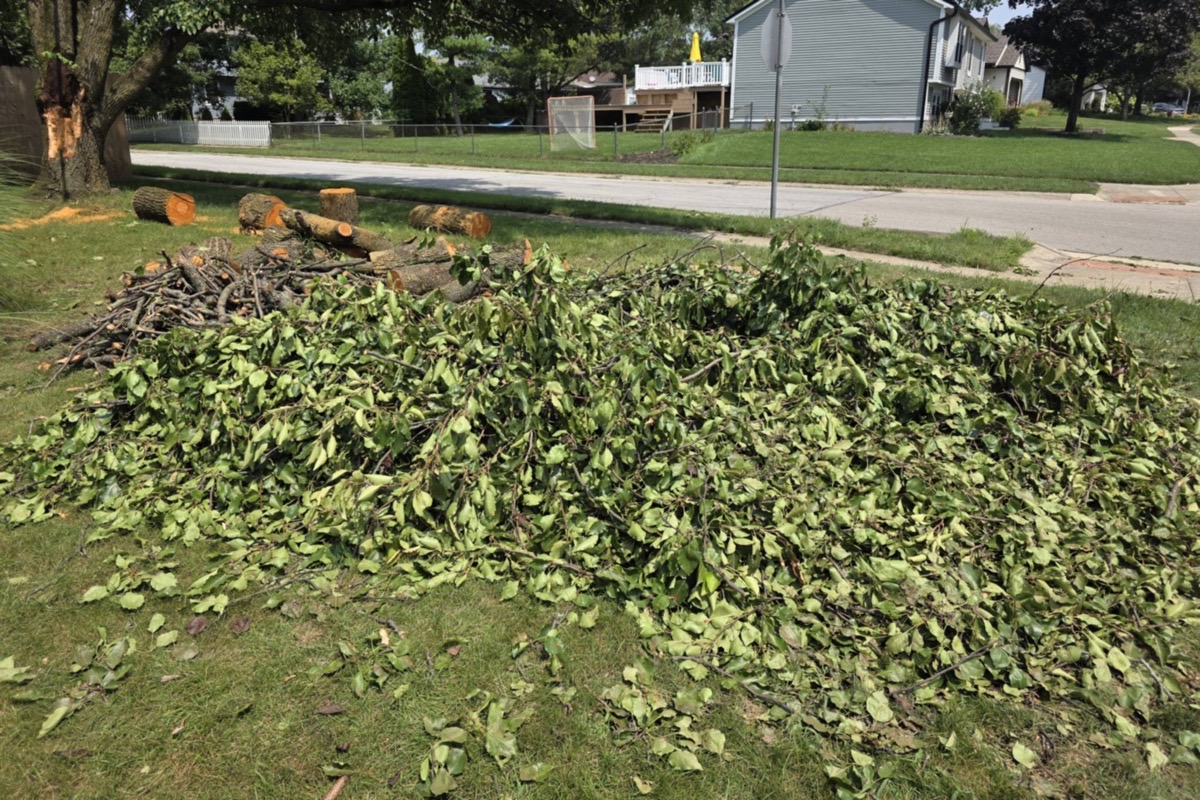 storm clean up — Cory Wallace