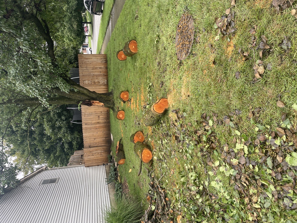 storm clean up — Cory Wallace