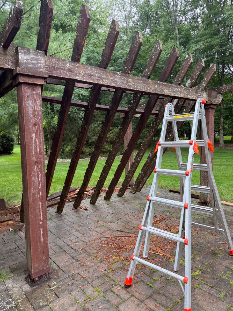 pergola demo — Michael Contreras