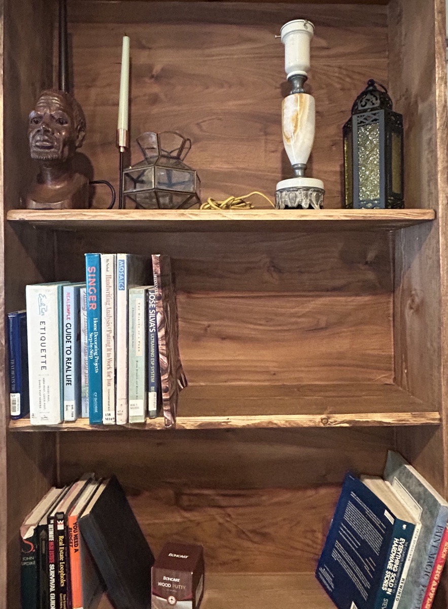 Rolling Bookcase/ Hidden Door — Hannah