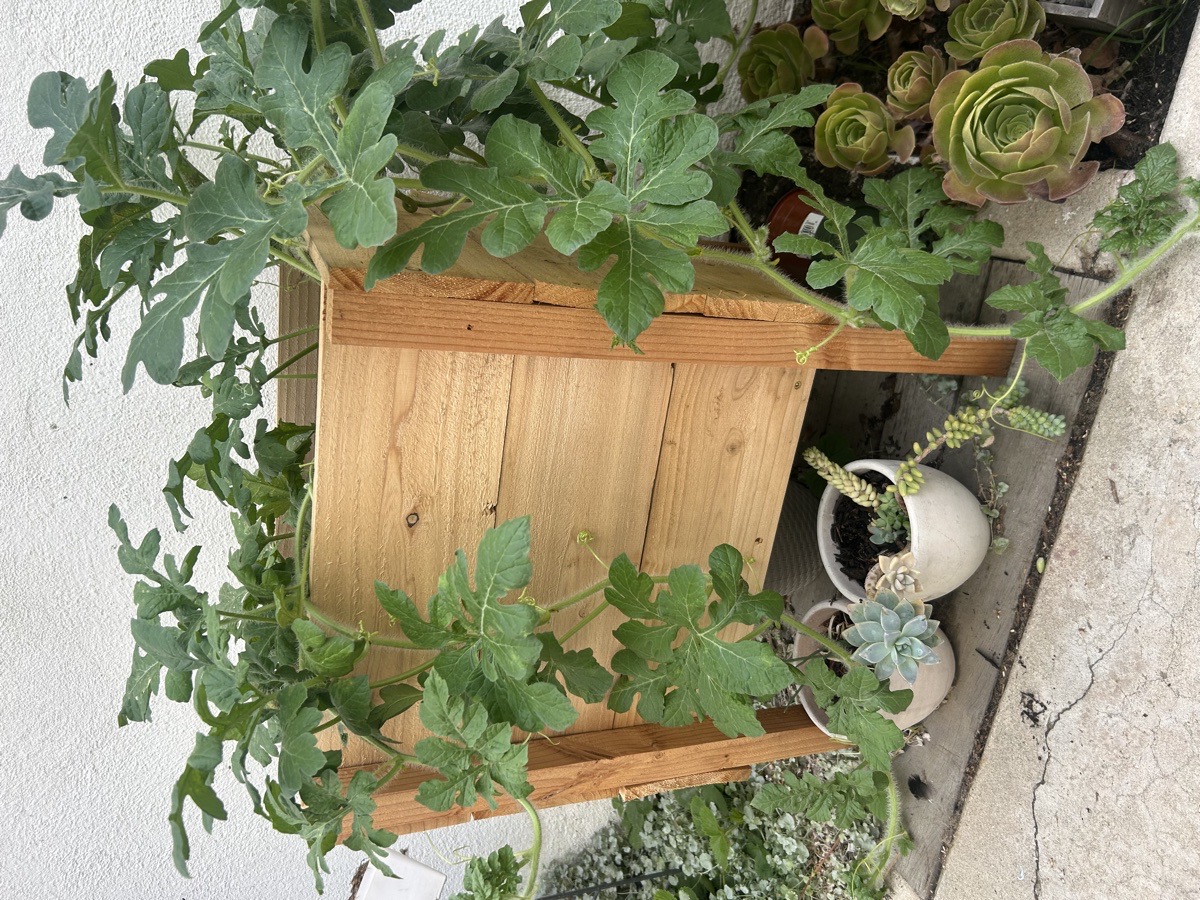 Rolling Bookcase/ Hidden Door — Hannah