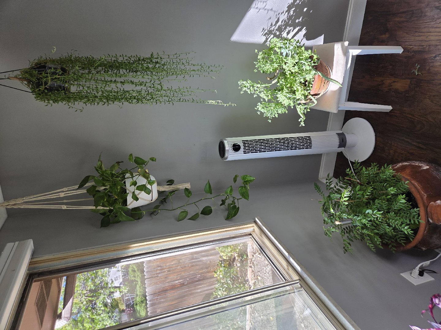 Houseplant Indoor Decor — Ivan Lebedev