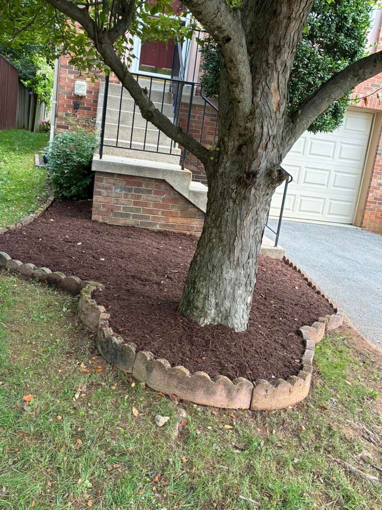 landscaping — Marleni