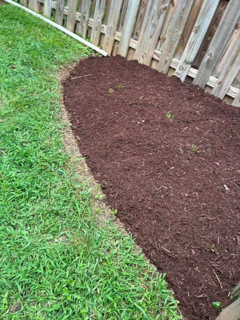 landscaping — Marleni