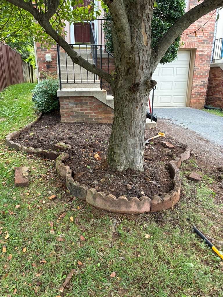 landscaping — Marleni