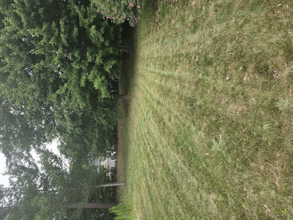 assembler painting landscaping — cp property maintenance