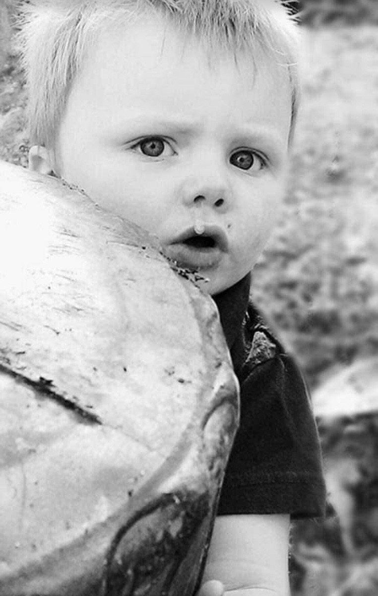 photography — brandon lawson